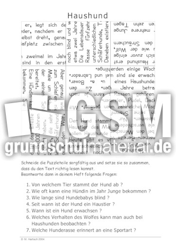 Haushund.pdf
